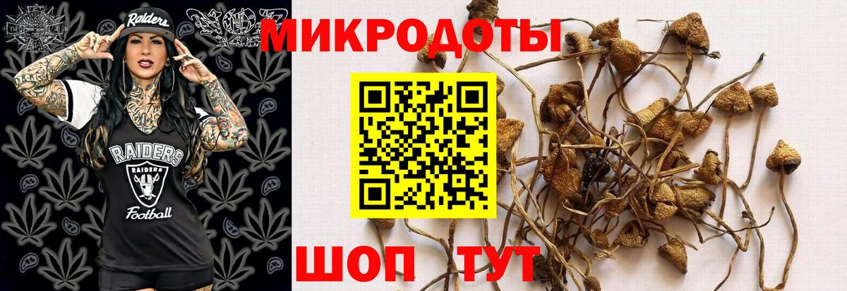 Усолье-Сибирское  Псилоцибиновые грибы Psilocybe  даркнет сайт  Вход с VPN 